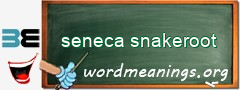 WordMeaning blackboard for seneca snakeroot